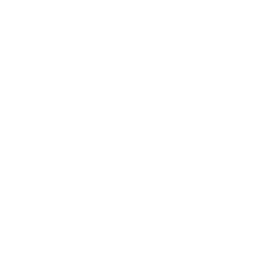 Fossil