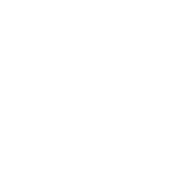 Patagonia