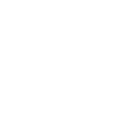 Lee Jeans