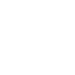 Vagabond