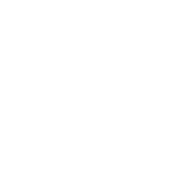 The Walking Company