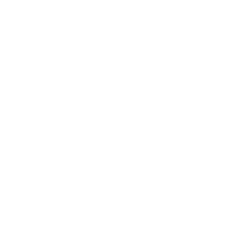 Birdy Grey