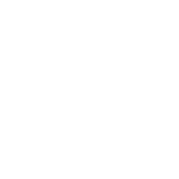 RealTruck