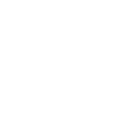 Kiwi.com