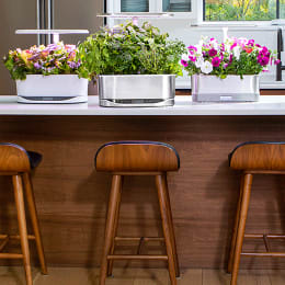 AeroGarden