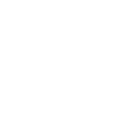 Fitbit