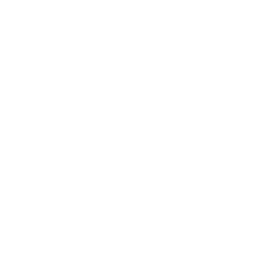 Pattern Beauty