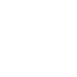 Riot Swim