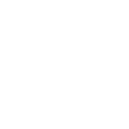 Whistle