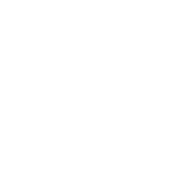 Ghost Democracy