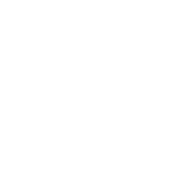 Nutribullet