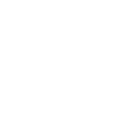 Black Lives Matter