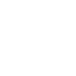 Minnetonka Moccasin