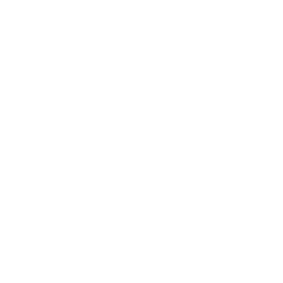 Stuart Weitzman