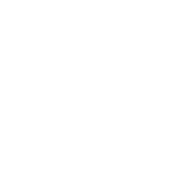 Carbon38