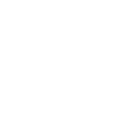 Worx
