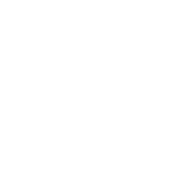 Alexandre Birman