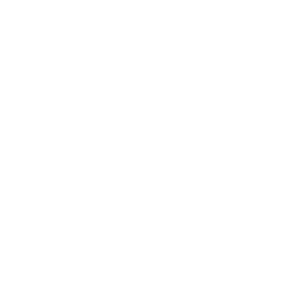 Ford and Wyatt