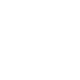 Alessi