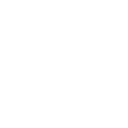 Chicco