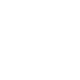 Viator