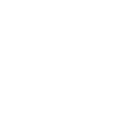 Vestaire Collective