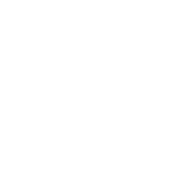 Beddy's