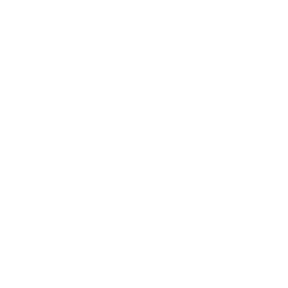 Lane Boots