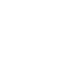 MVMT