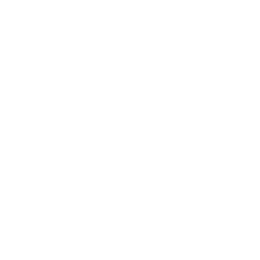 Net-a-Porter