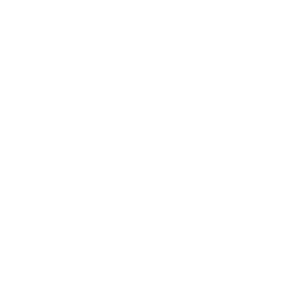 Christy Dawn