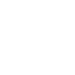 The Vitamin Shoppe