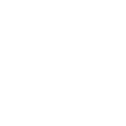 Audible