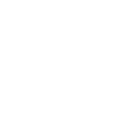 Dish