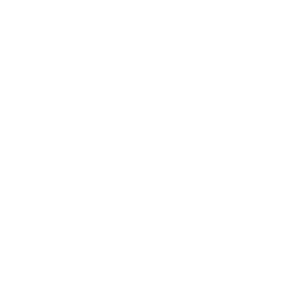 Tumi