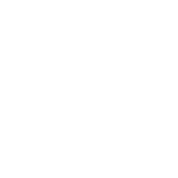 Ann Taylor