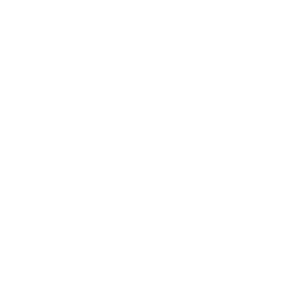 Verge Girl