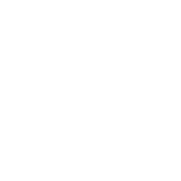 Orbitz