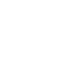 Bluedot