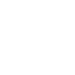 Lively