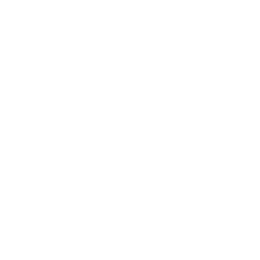 Paper Culture