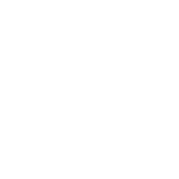 Dr. Schulze's