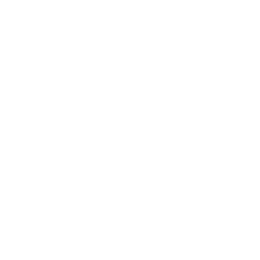 DressLily