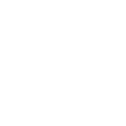 Marmot