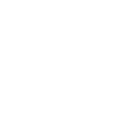 Parachute Home