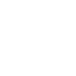 Rag & Bone