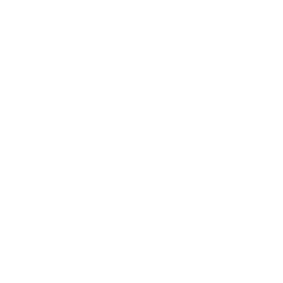 Barnes and Noble