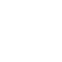 Necessaire