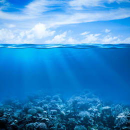 Coburg Aquarium