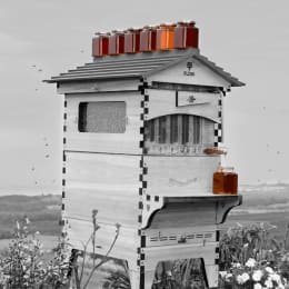 Flow Hive